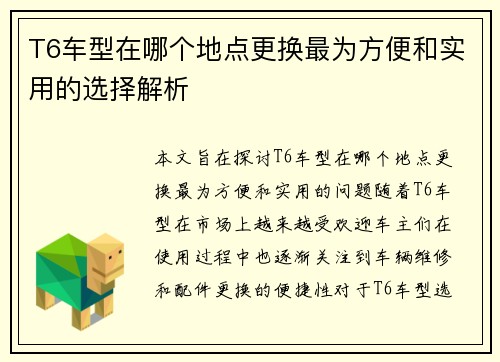 T6车型在哪个地点更换最为方便和实用的选择解析