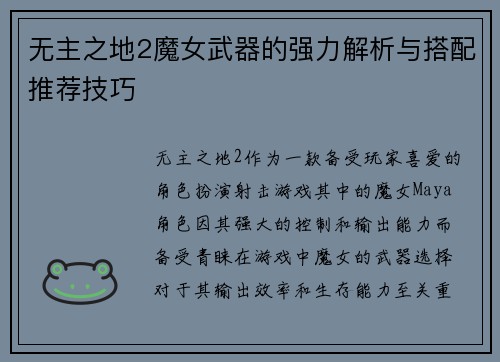 无主之地2魔女武器的强力解析与搭配推荐技巧